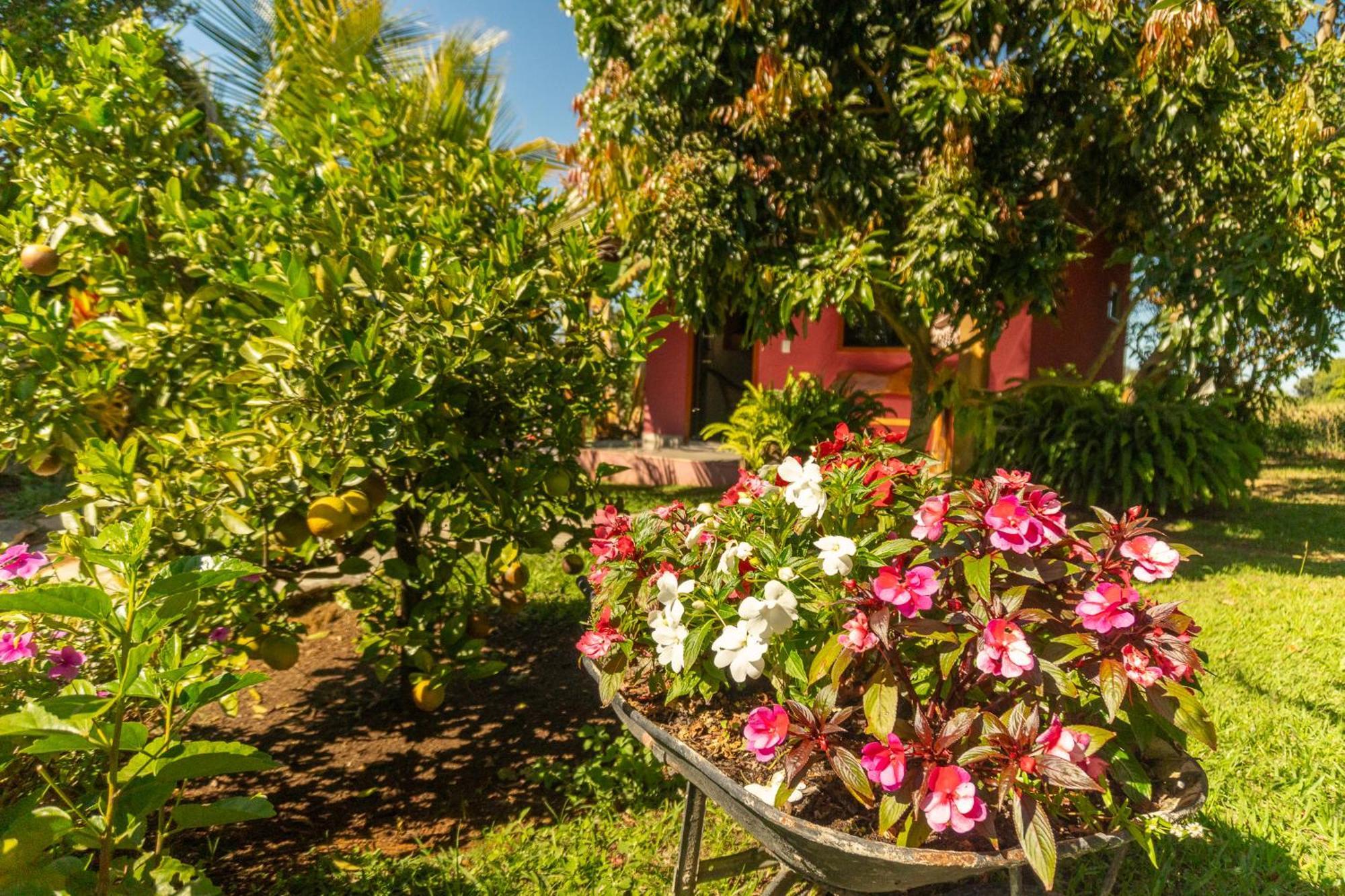 Guest house Da Mata *