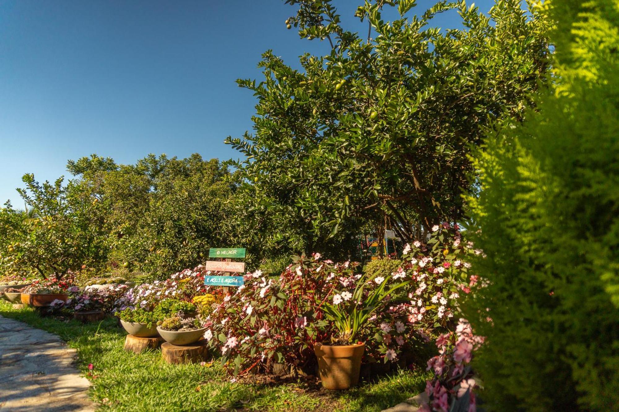 Da Mata Guest house